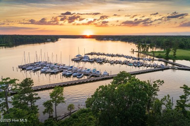 A piece of paradise awaits your home plans here in the Albemarle - photo 6