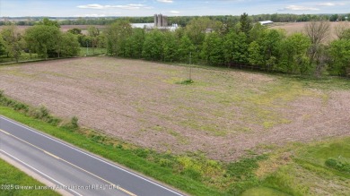 Lake Acreage For Sale in Saint Johns, Michigan