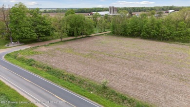 Lake Acreage For Sale in Saint Johns, Michigan