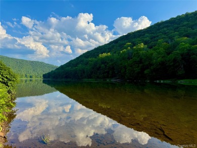 Lake Acreage For Sale in Hancock, New York