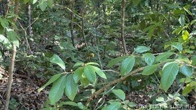 Almost a full acre lot just walking distance from the private - photo 3
