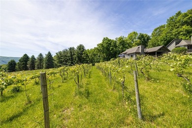 One-of-a-kind Estate on Canandaigua Lake! Only lakefront - photo 2