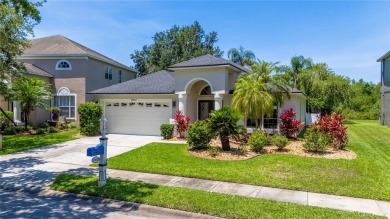 Lake Home For Sale in Lutz, Florida