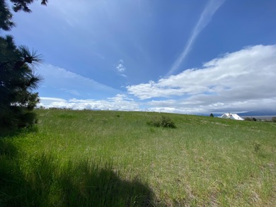 Beautiful sloping view lot in Oregon Shores 2. Power and water - photo 4