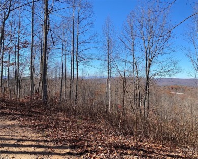 Welcome to Hidden Lake! This gated log home community is located - photo 5