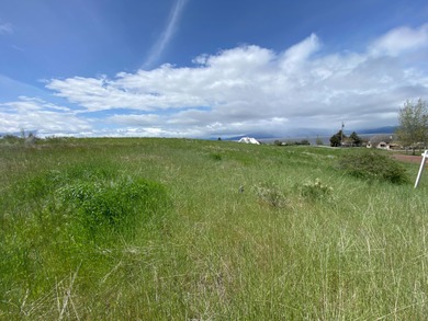 Beautiful sloping view lot in Oregon Shores 2. Power and water - photo 5