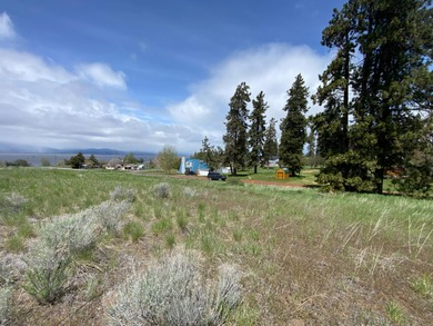 Beautiful sloping view lot in Oregon Shores 2. Power and water - photo 6