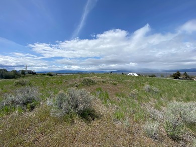 Beautiful sloping view lot in Oregon Shores 2. Power and water - photo 8