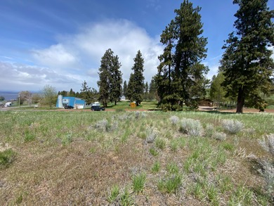Beautiful sloping view lot in Oregon Shores 2. Power and water - photo 10