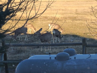 Welcome to The Elk Meadows Ranch located in Townsend, MT. Set on - photo 26