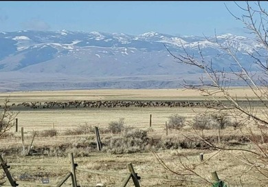 Welcome to The Elk Meadows Ranch located in Townsend, MT. Set on - photo 48
