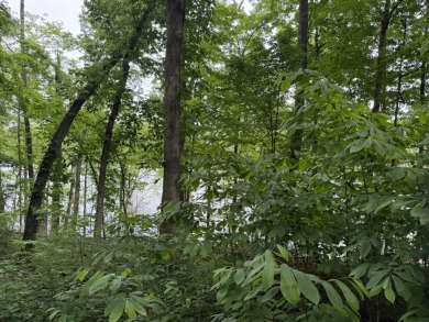 Lakefront Lot with Dock in Gated Community - Lake Lot For Sale in Bee Spring, Kentucky