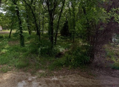 Lake Lot For Sale in Mabank, Texas