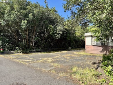 Rare opportunity to create value in a desirable 55+ community - photo 4