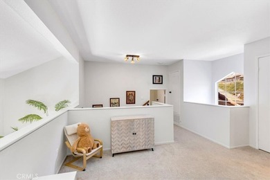 27355 Paseo Laguna - photo 30