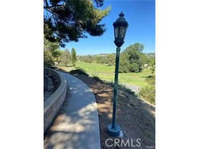27355 Paseo Laguna - photo 49