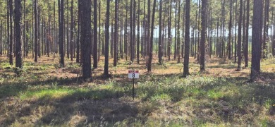 Toledo Bend Reservoir Lot For Sale in Florien Louisiana