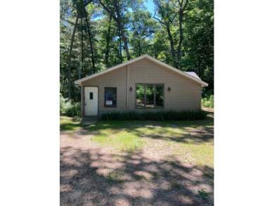 Lower Scott Lake Home For Sale in Pullman Michigan