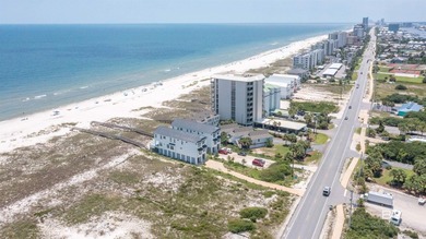 Where Vision Meets the Shoreline with 100 feet of direct Gulf - photo 12