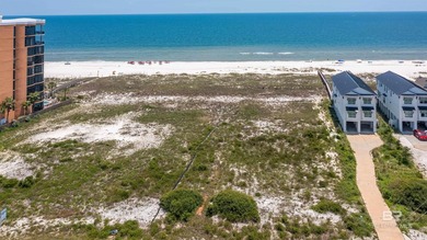 Where Vision Meets the Shoreline with 100 feet of direct Gulf - photo 18