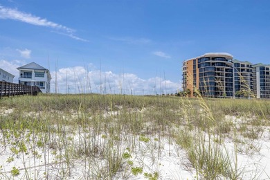 Where Vision Meets the Shoreline with 100 feet of direct Gulf - photo 24