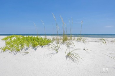 Where Vision Meets the Shoreline with 100 feet of direct Gulf - photo 29