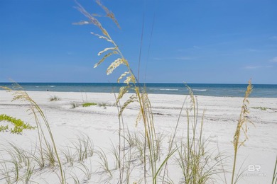 Where Vision Meets the Shoreline with 100 feet of direct Gulf - photo 30