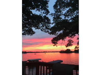 Stunning Lake Manitou Home - photo 29