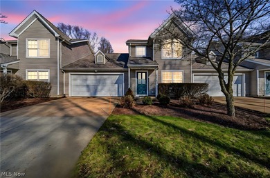 Lake Condo For Sale in Madison, Ohio