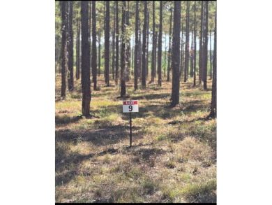 Toledo Bend Reservoir Lot For Sale in Florien Louisiana