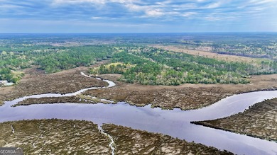 (private lake, pond, creek) Acreage For Sale in Waverly Georgia