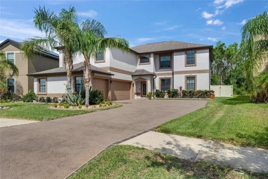 Valencia Lakes  Home For Sale in Wimauma Florida