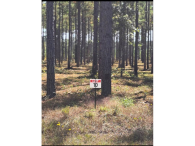 Toledo Bend Reservoir Lot For Sale in Florien Louisiana