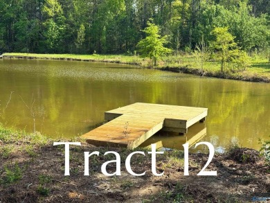 Lake Lot For Sale in Centre, Alabama