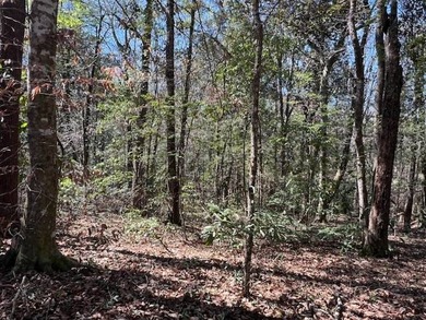 Located in Dogwood Lakes in Bonifay, FL, this 1.77 acre wooded - photo 11
