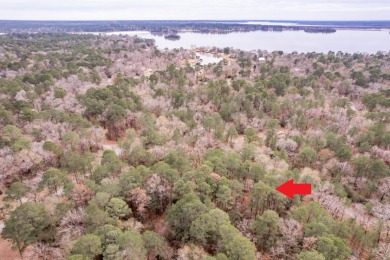 Lake Lot SOLD! in Trinity, Texas