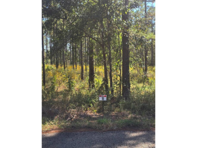 Toledo Bend Reservoir Lot For Sale in Florien Louisiana