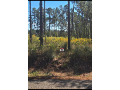 Toledo Bend Reservoir Lot For Sale in Florien Louisiana