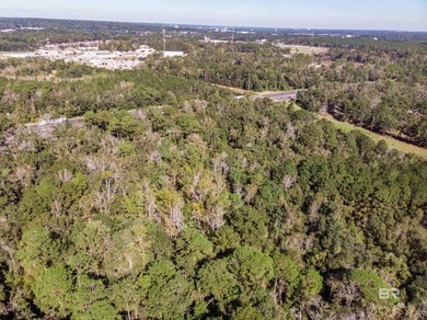 **BOM Pending Release of Sale** 4.5 acres with So many - photo 4