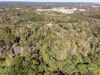 **BOM Pending Release of Sale** 4.5 acres with So many - photo 6