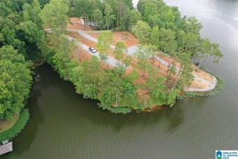 Lay Lake Lot For Sale in Shelby Alabama