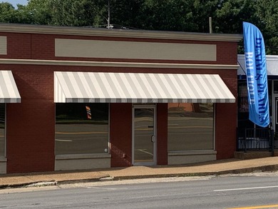 Two great opportunities located in the Heart of Heber Springs! - photo 16