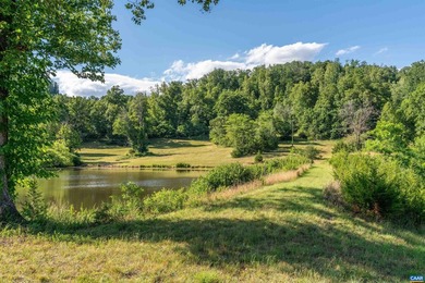 In the heart of the Monticello Wine Trail in Southern Albemarle - photo 27