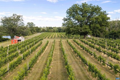 In the heart of the Monticello Wine Trail in Southern Albemarle - photo 31
