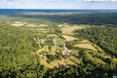 In the heart of the Monticello Wine Trail in Southern Albemarle - photo 34