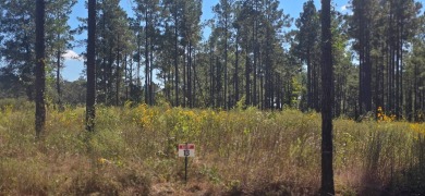 Toledo Bend Reservoir Lot For Sale in Florien Louisiana