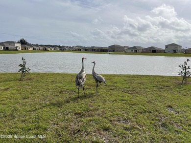 Motivated Seller ! Immaculate two-story on a lake-view corner - photo 50