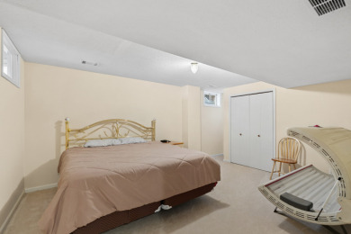 Stunning Lake Manitou Home - photo 22