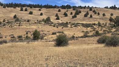 Upper Klamath Lake Acreage For Sale in Klamath Falls Oregon