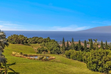 Perched high above the coastline within the private gated - photo 47